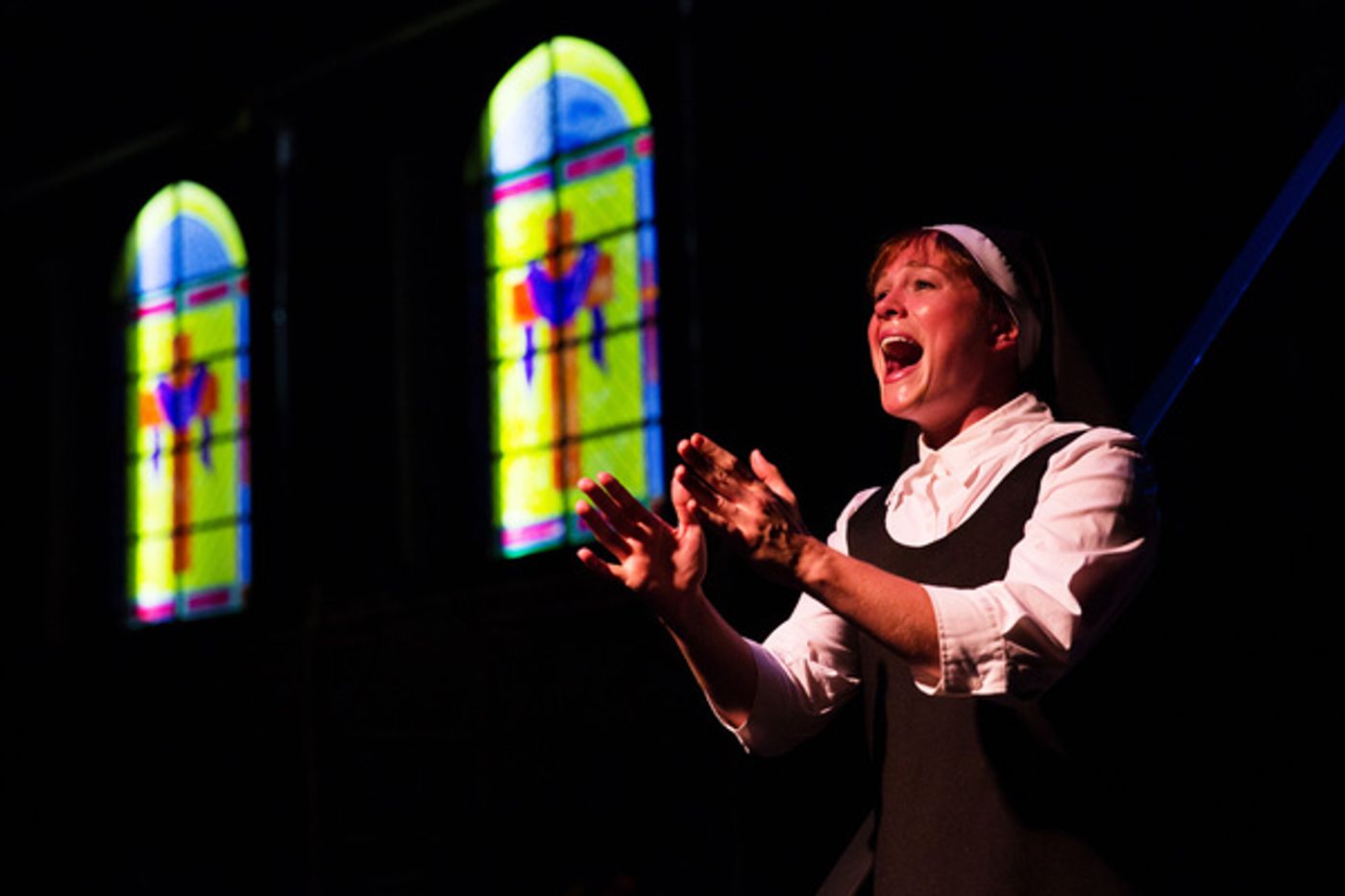 Photo Flash: First Look at SISTER ACT at Toby's Dinner Theatre  Image