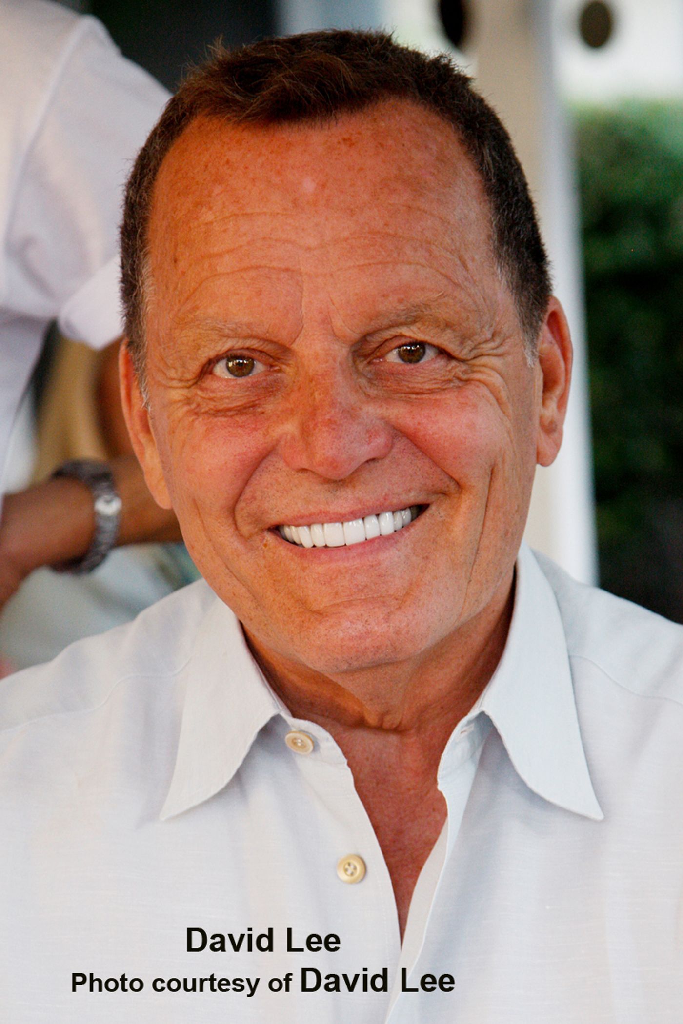 Interview: David Lee Sets His Sights on His DEAR WORLD With Tyne, Jerry & Broadway  Image