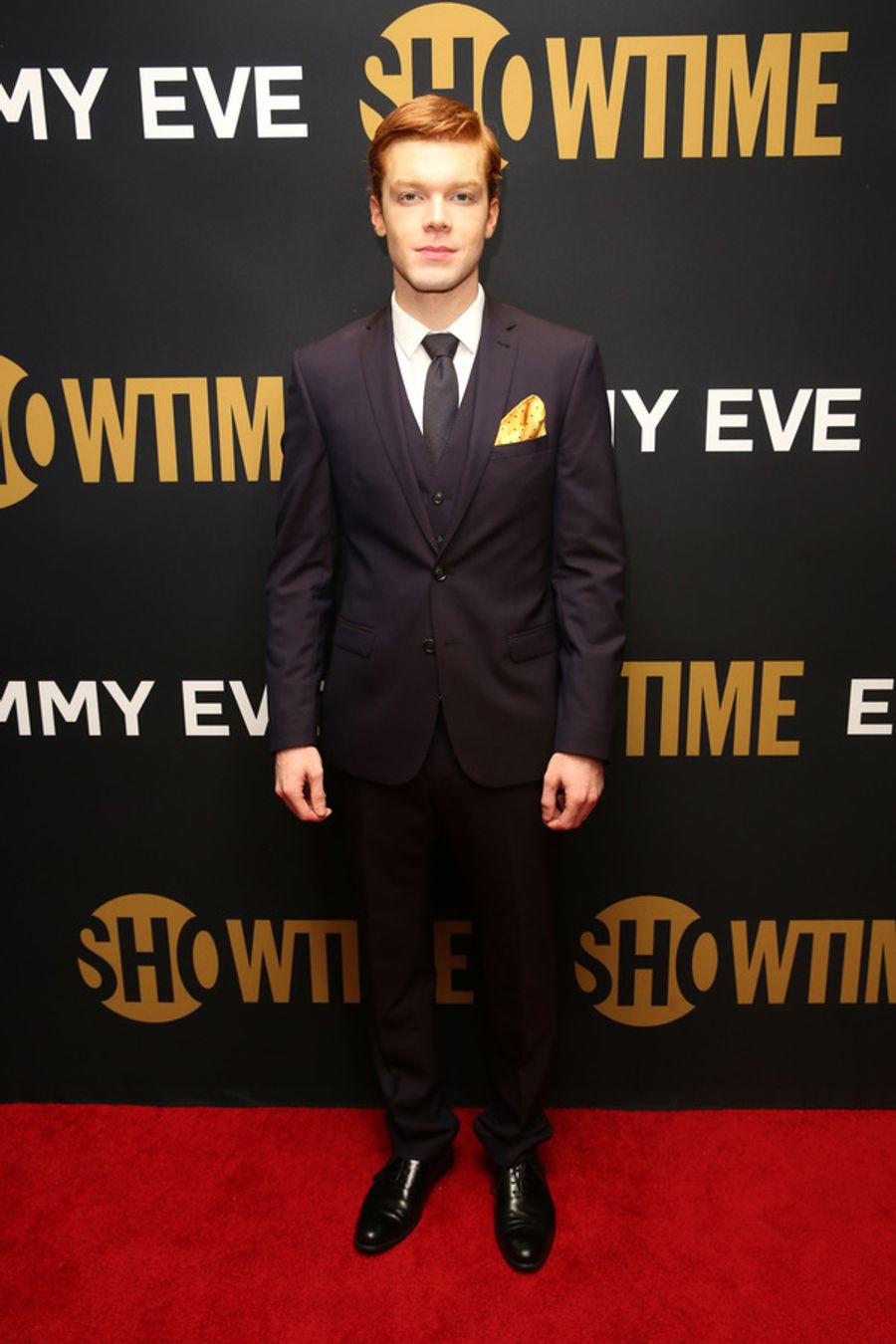 Photo Flash: SHOWTIME Hosts Annual Emmys Eve Party Image