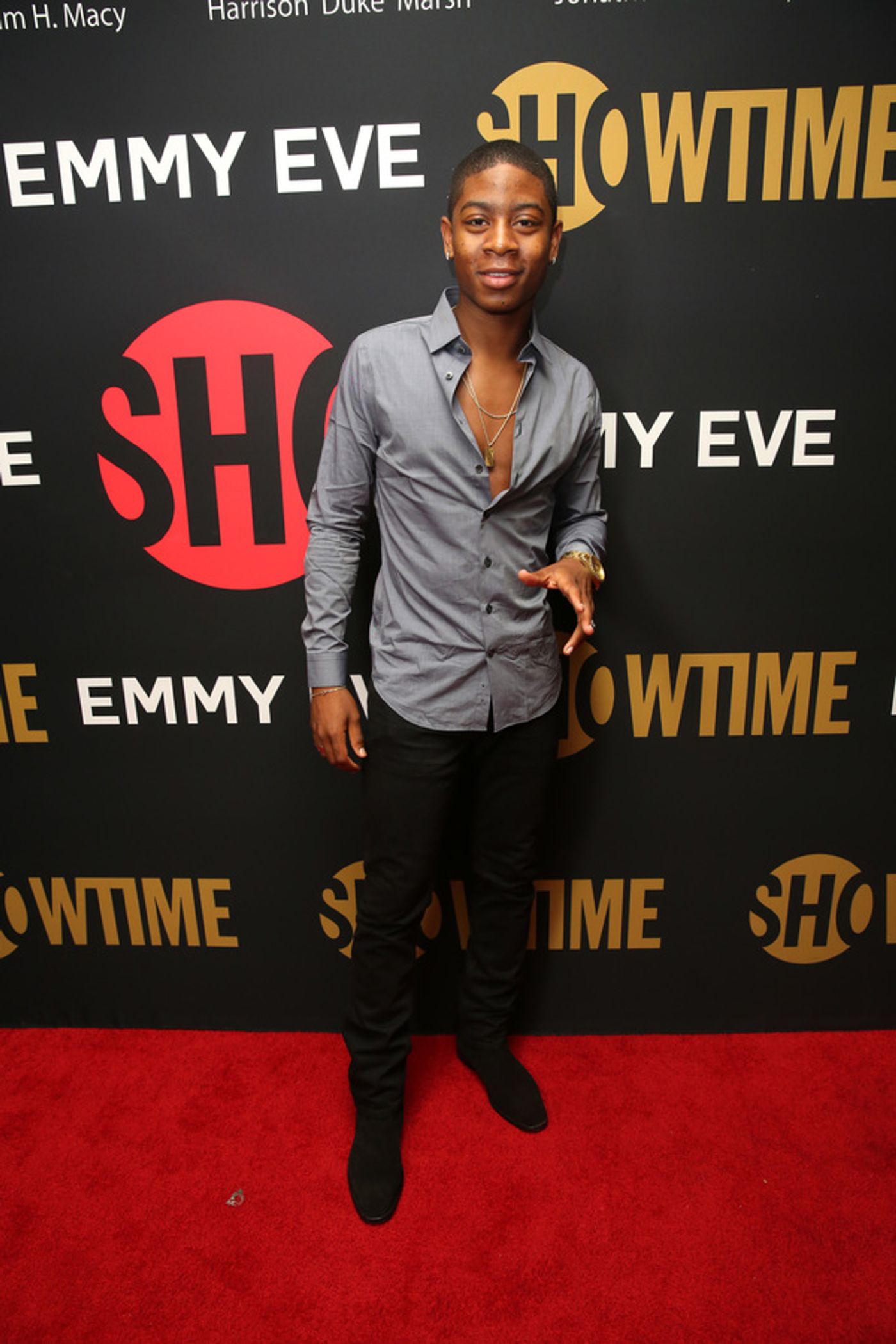 Photo Flash: SHOWTIME Hosts Annual Emmys Eve Party Photo Flash: SHOWTIME Hosts Annual Emmys Eve Party Image