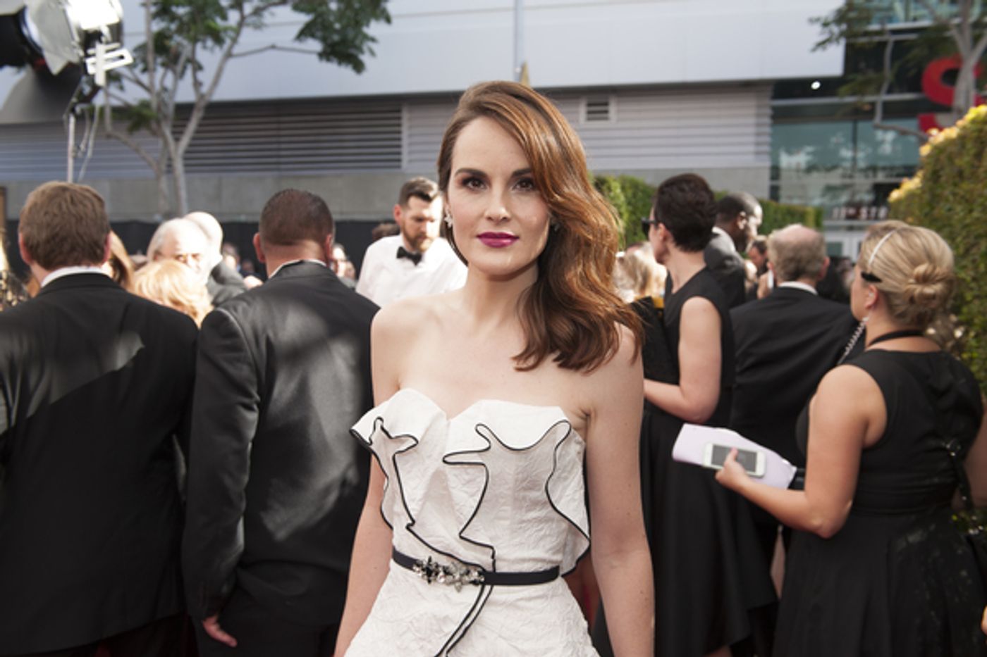 Photo Flash: 68th Annual Emmy Award Red Carpet Photo Coverage  Image