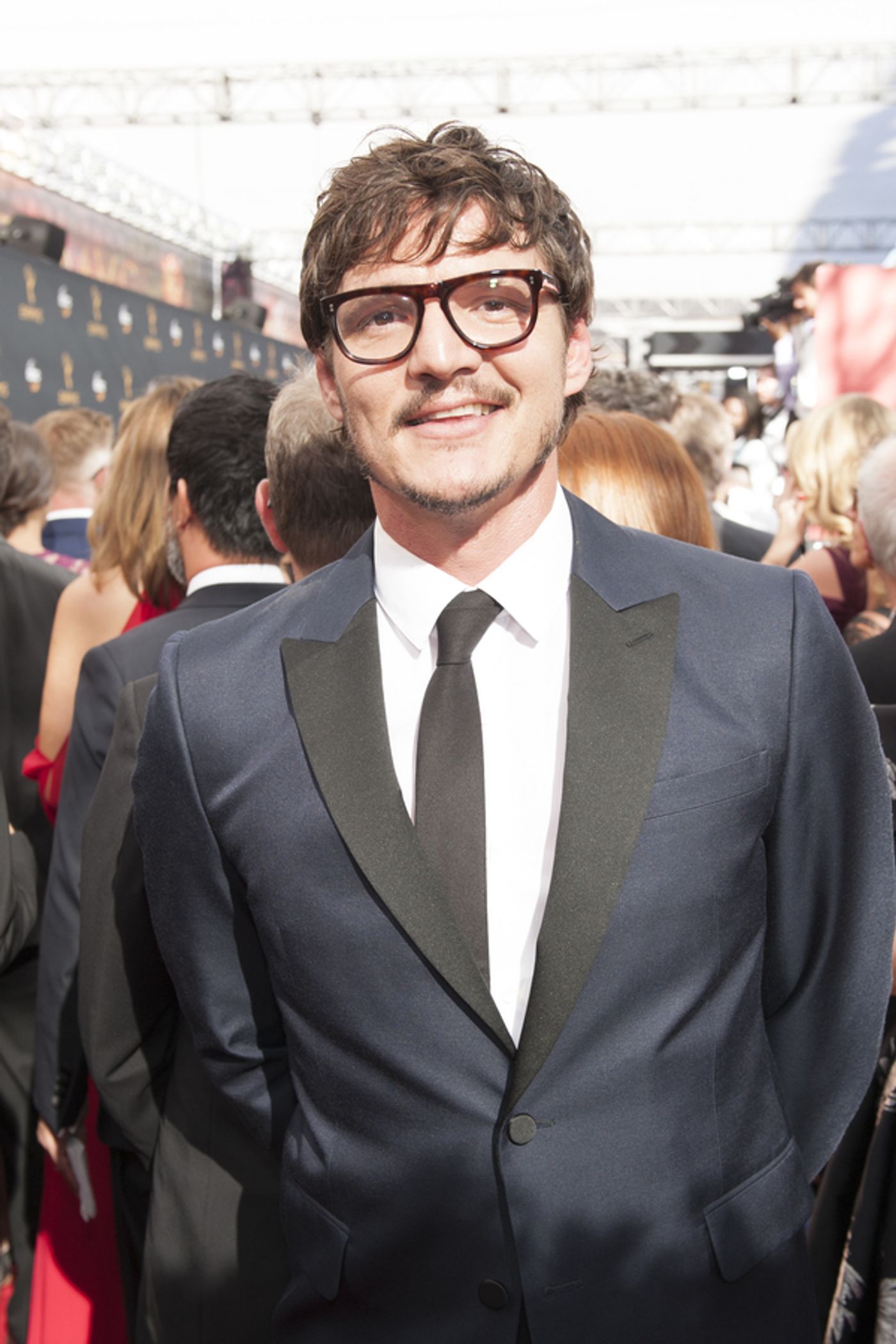 Photo Flash: 68th Annual Emmy Award Red Carpet Photo Coverage  Image