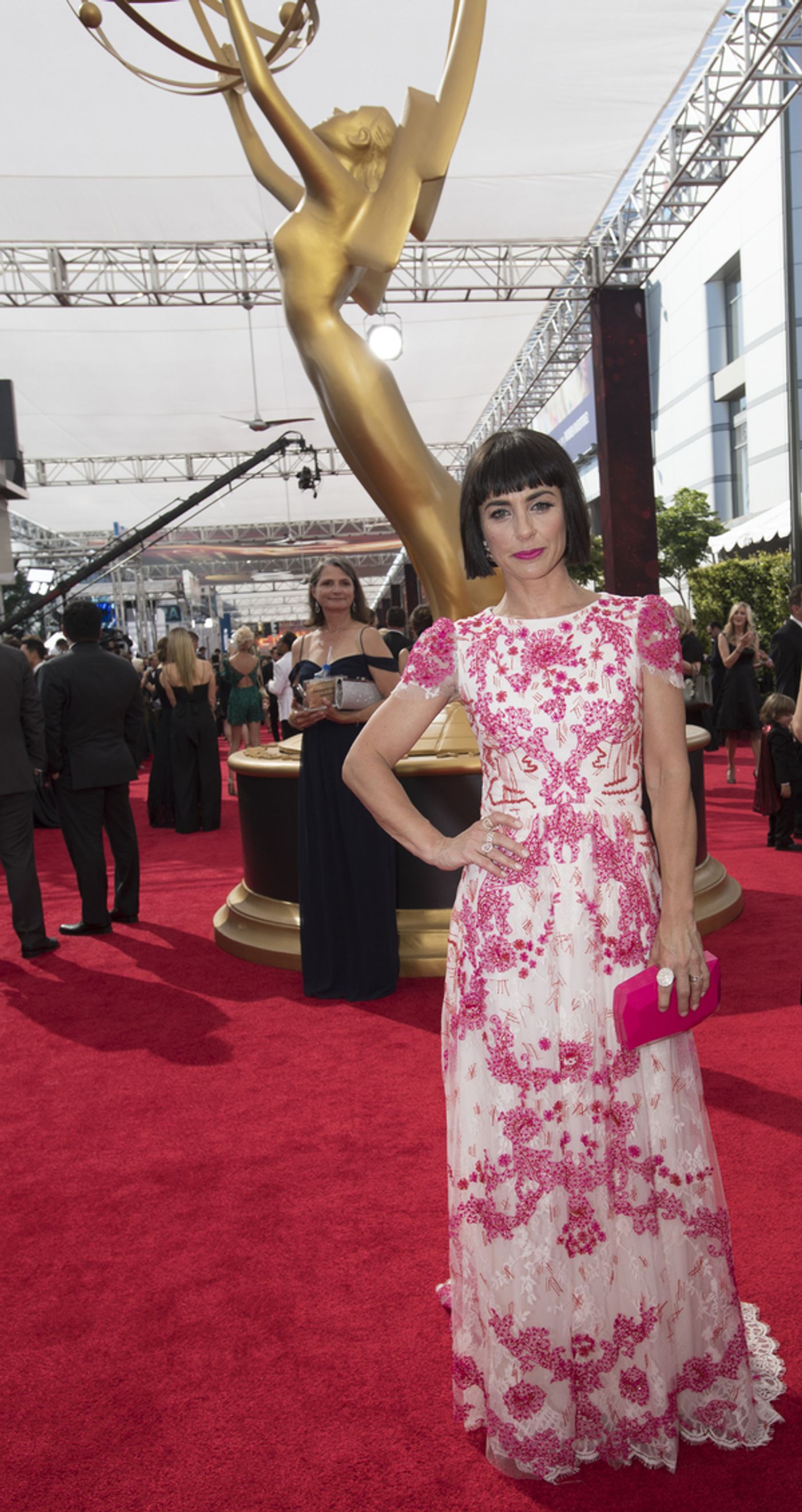 Photo Flash: 68th Annual Emmy Award Red Carpet Photo Coverage  Image