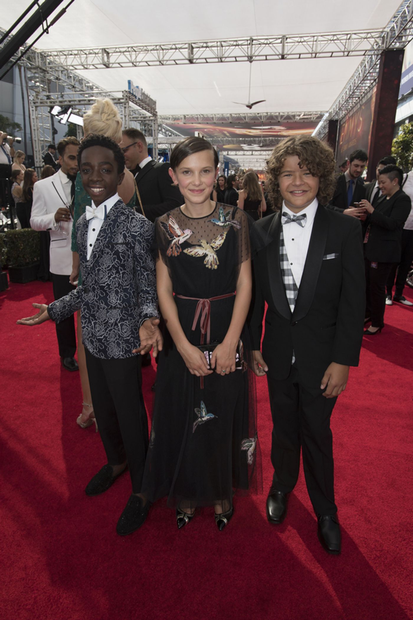 Photo Flash: 68th Annual Emmy Award Red Carpet Photo Coverage  Image
