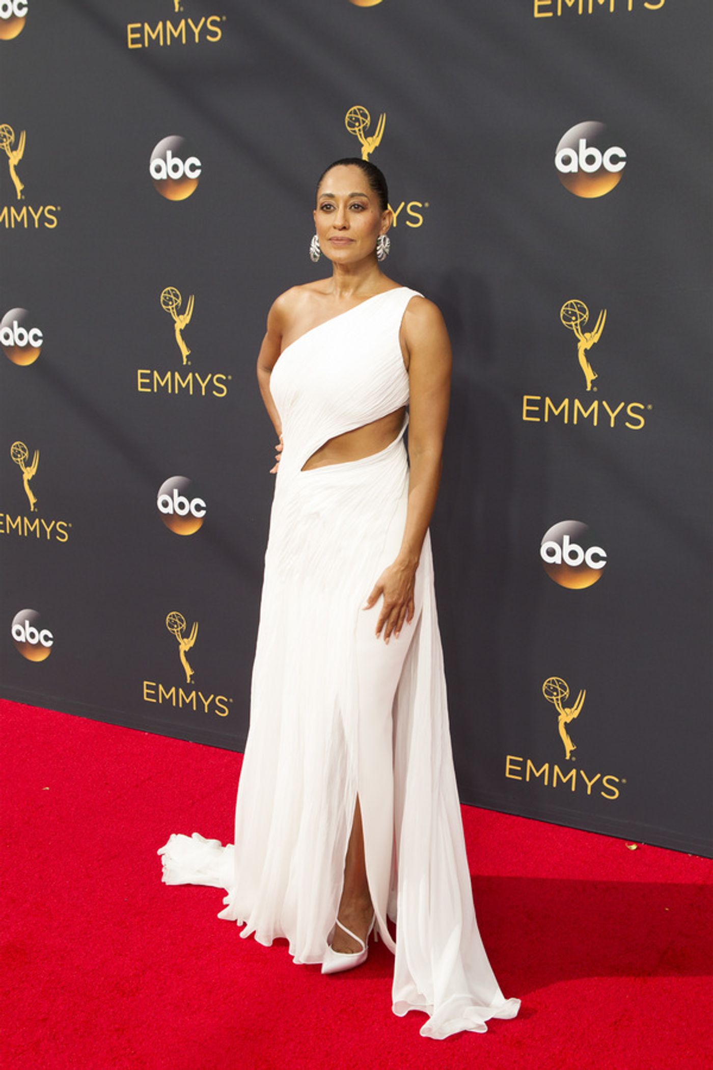 Photo Flash: 68th Annual Emmy Award Red Carpet Photo Coverage  Image