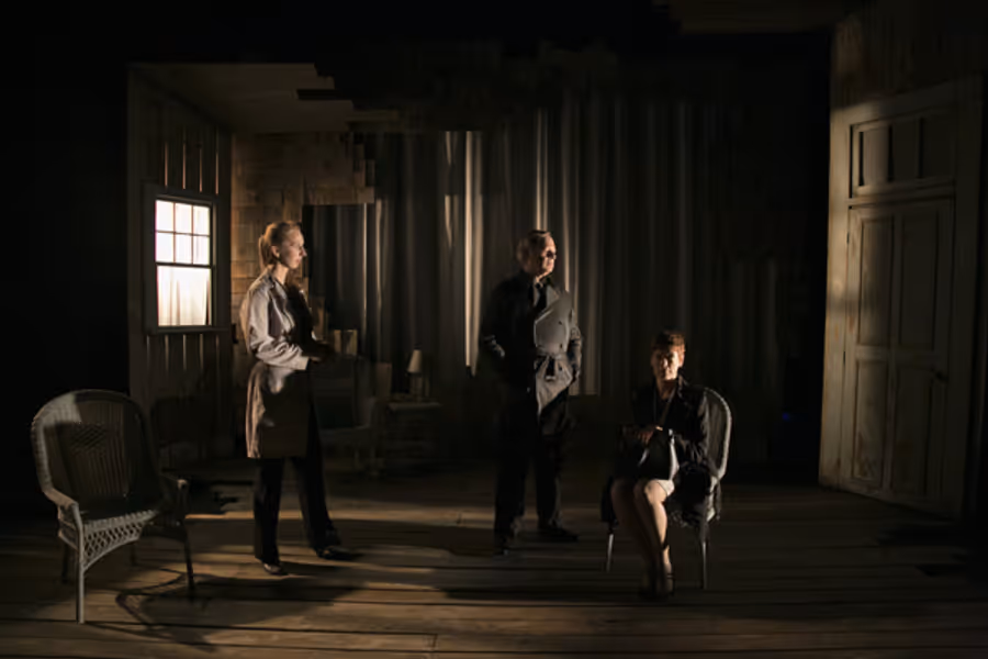 Photo Flash: First Look at THE OTHER PLACE at Rep Stage Image