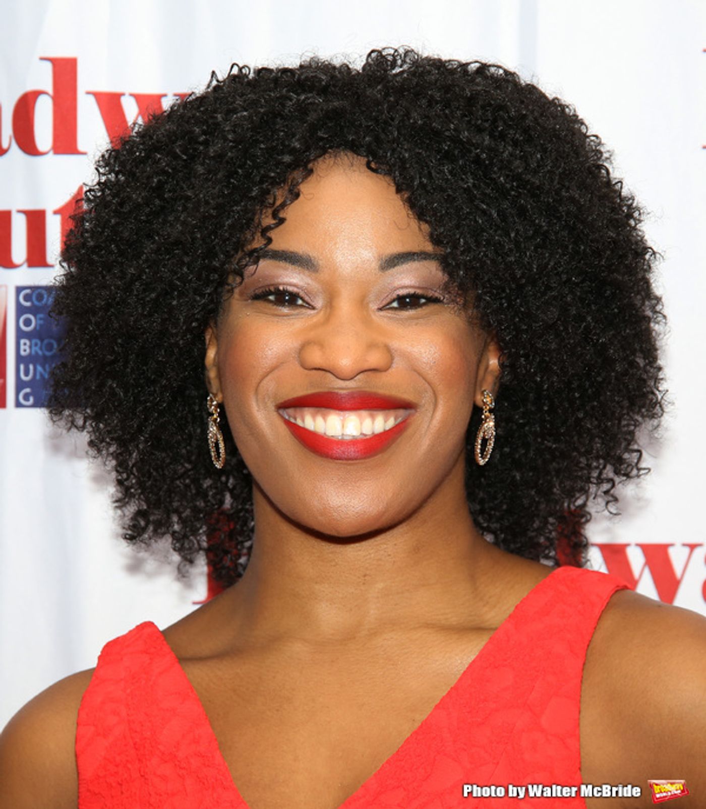 Photo Coverage: Alex Brightman & More at 8th Annual Broadway Salutes Red Carpet Image