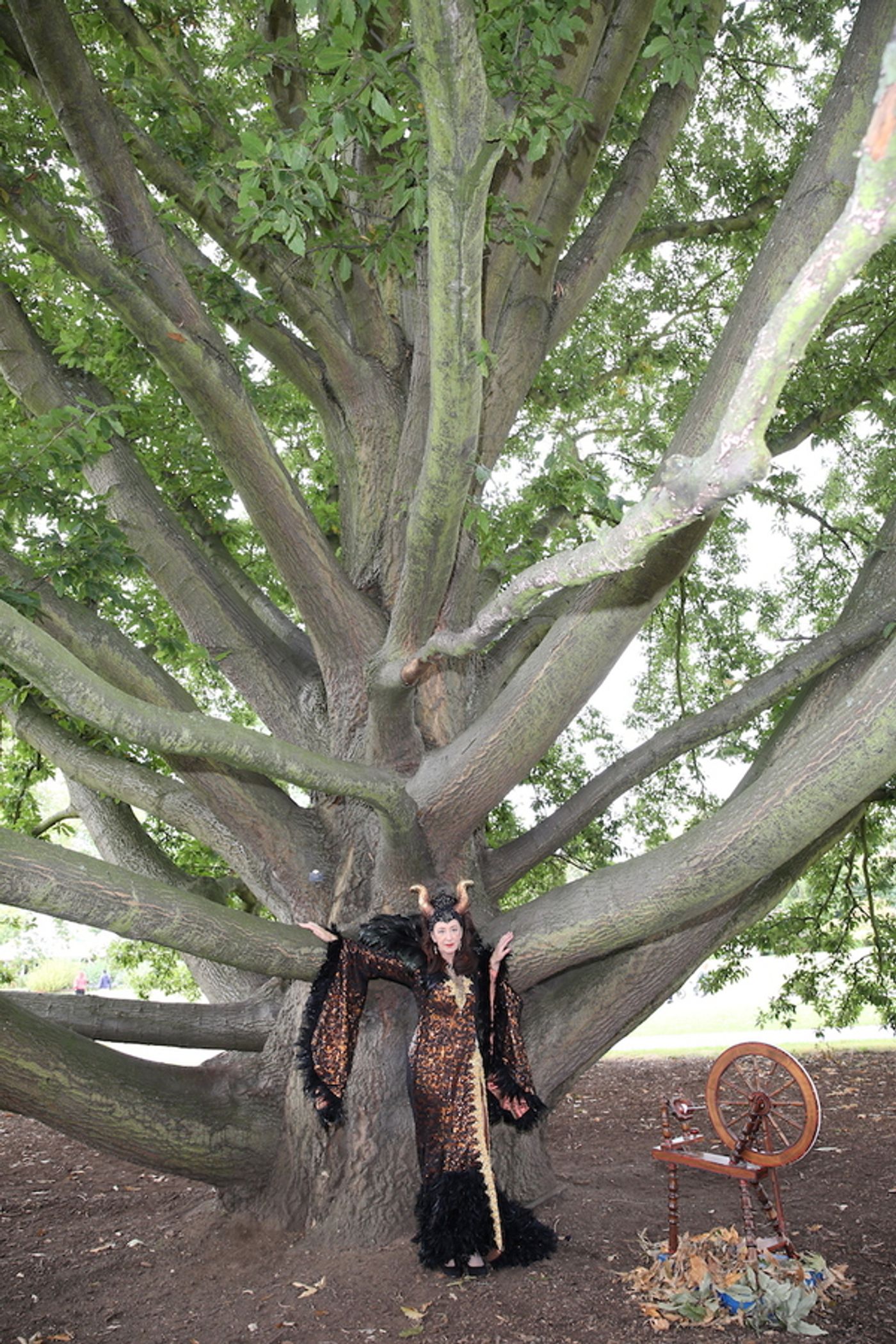 Photo Flash: Richmond Theatre Launches Christmas Panto SLEEPING BEAUTY  Image