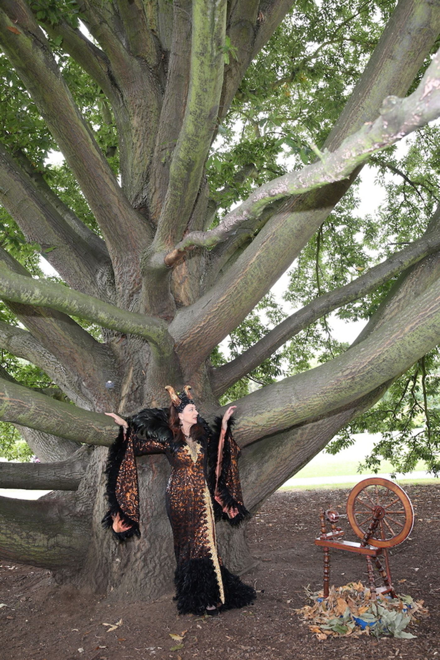 Photo Flash: Richmond Theatre Launches Christmas Panto SLEEPING BEAUTY  Image
