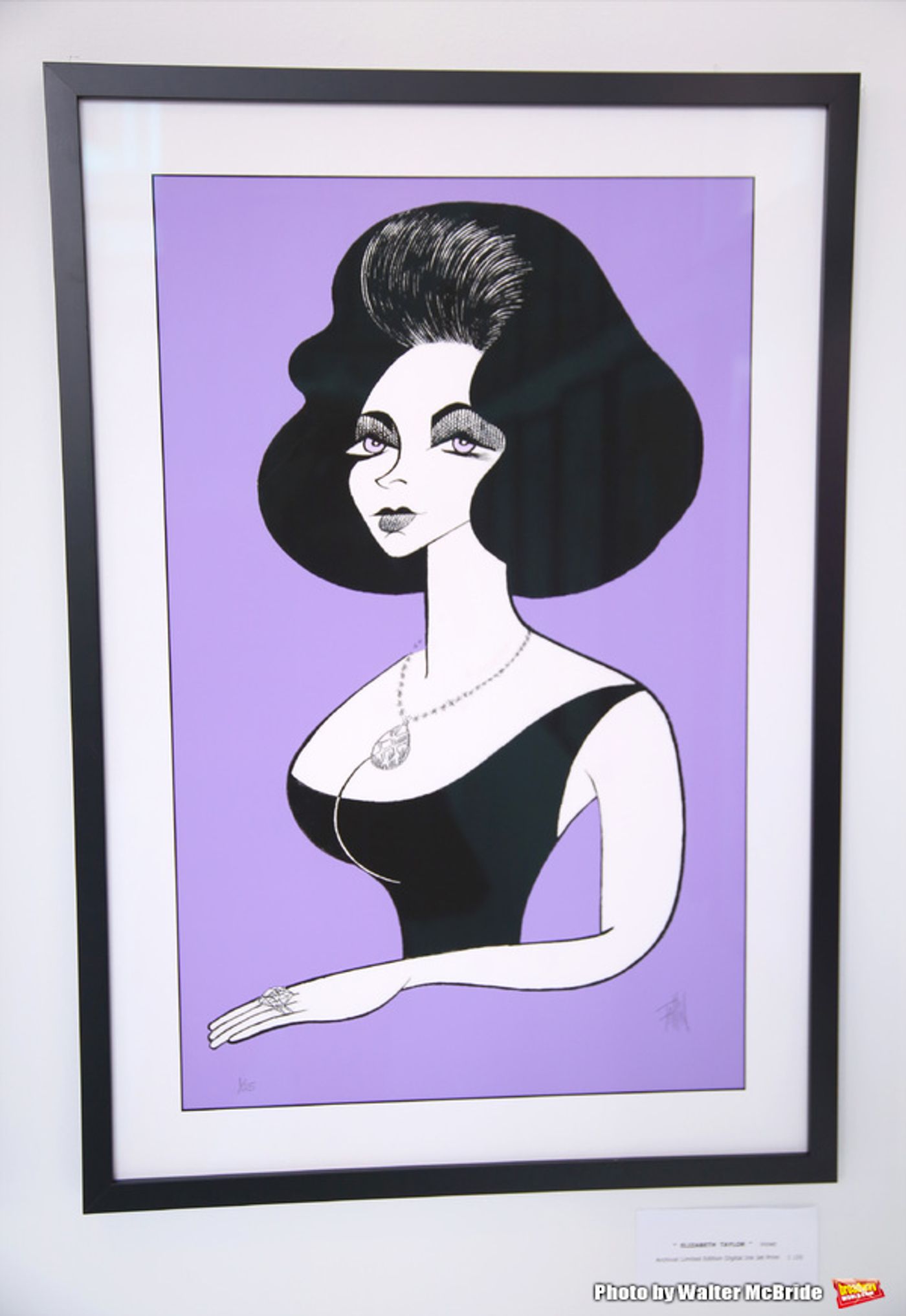 Photo Coverage: Caricature Art of Broadway Icons Featured in New FACES by FALLIN Exhibit Image