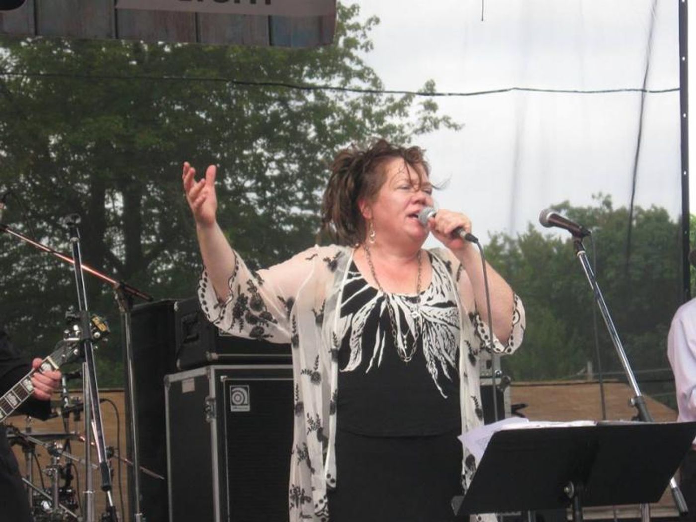 The Pennsylvania Blues Festival Marks its 25th Anniversary in Style!  Image