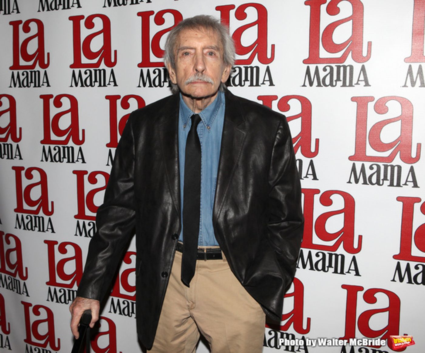 Photo Coverage: Remembering the Life and Career of Legendary Playwright, Edward Albee  Image