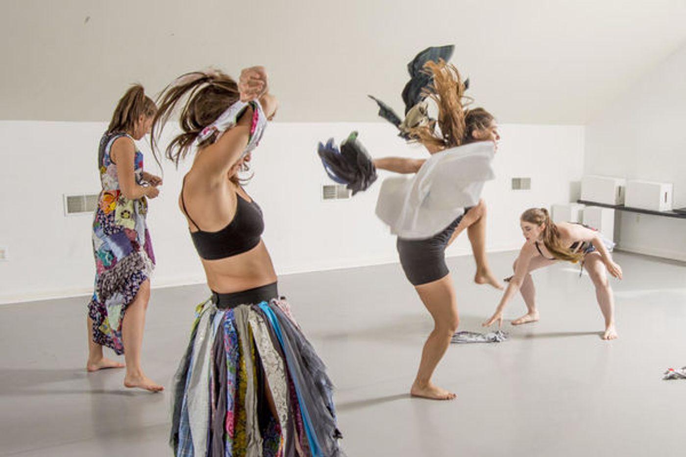 Photo Flash: The Vanessa Long Dance Company Combines Activism And Performing Arts  Image