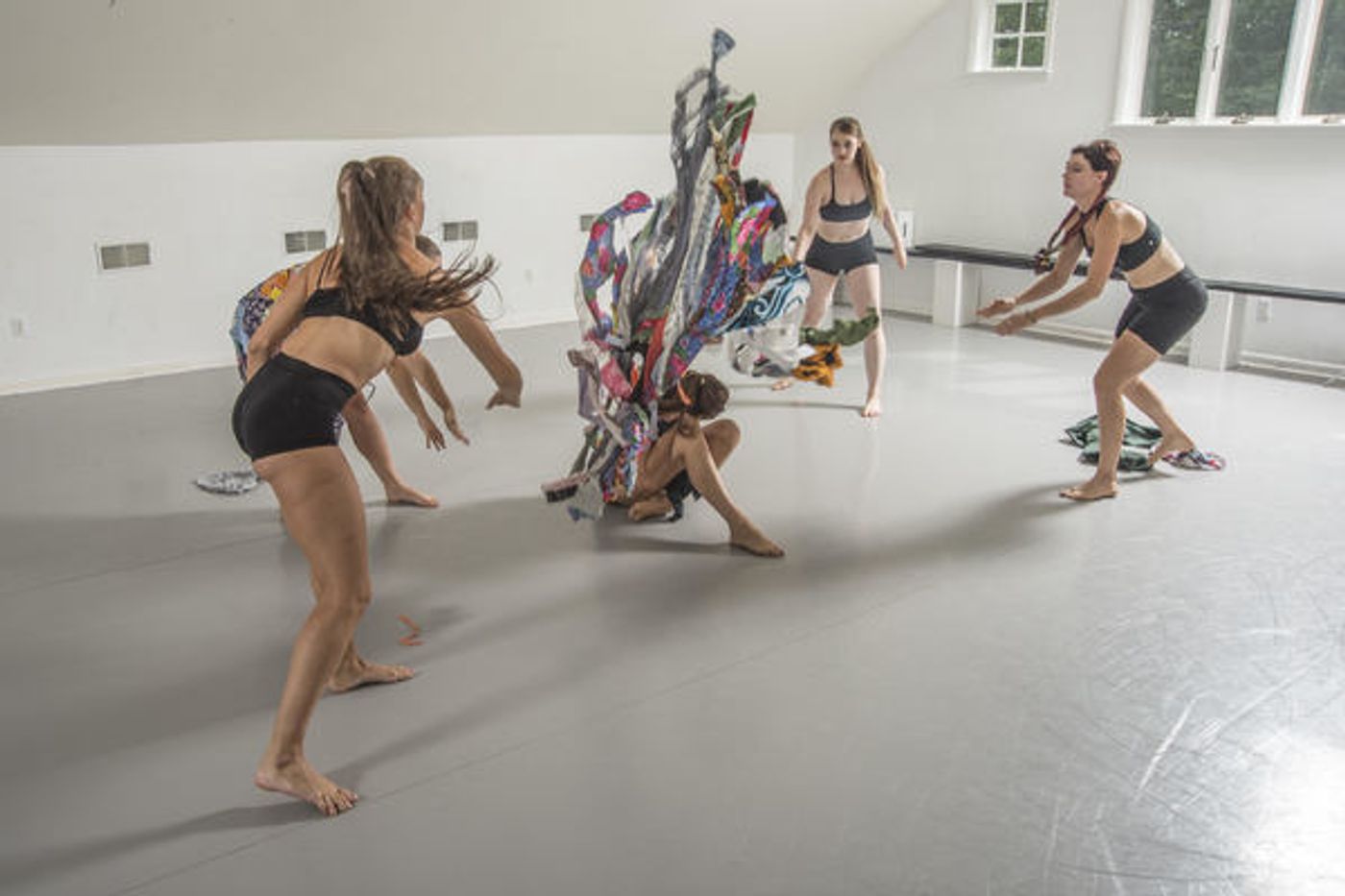 Photo Flash: The Vanessa Long Dance Company Combines Activism And Performing Arts  Image
