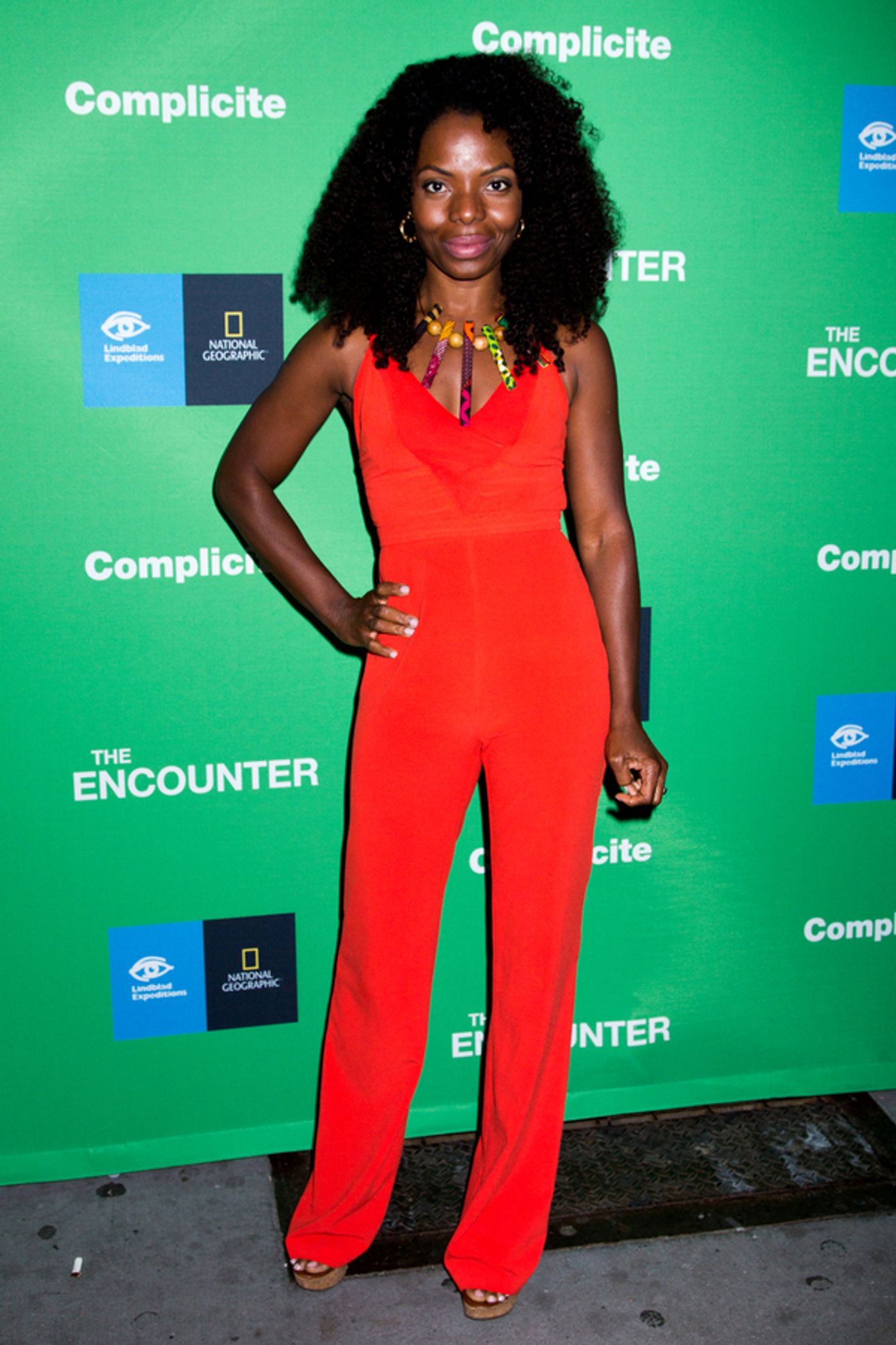 Photo Coverage: On the Opening Night Red Carpet for THE ENCOUNTER  Image