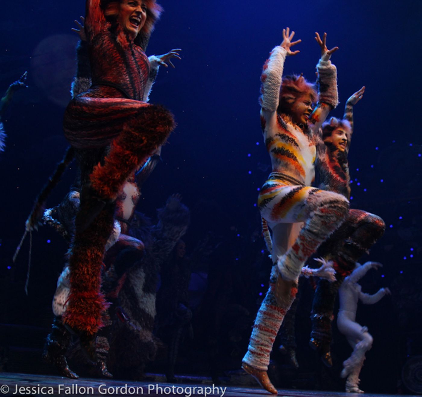 Photo Coverage: Grumpy Cat Pounces Onto Broadway!  Image