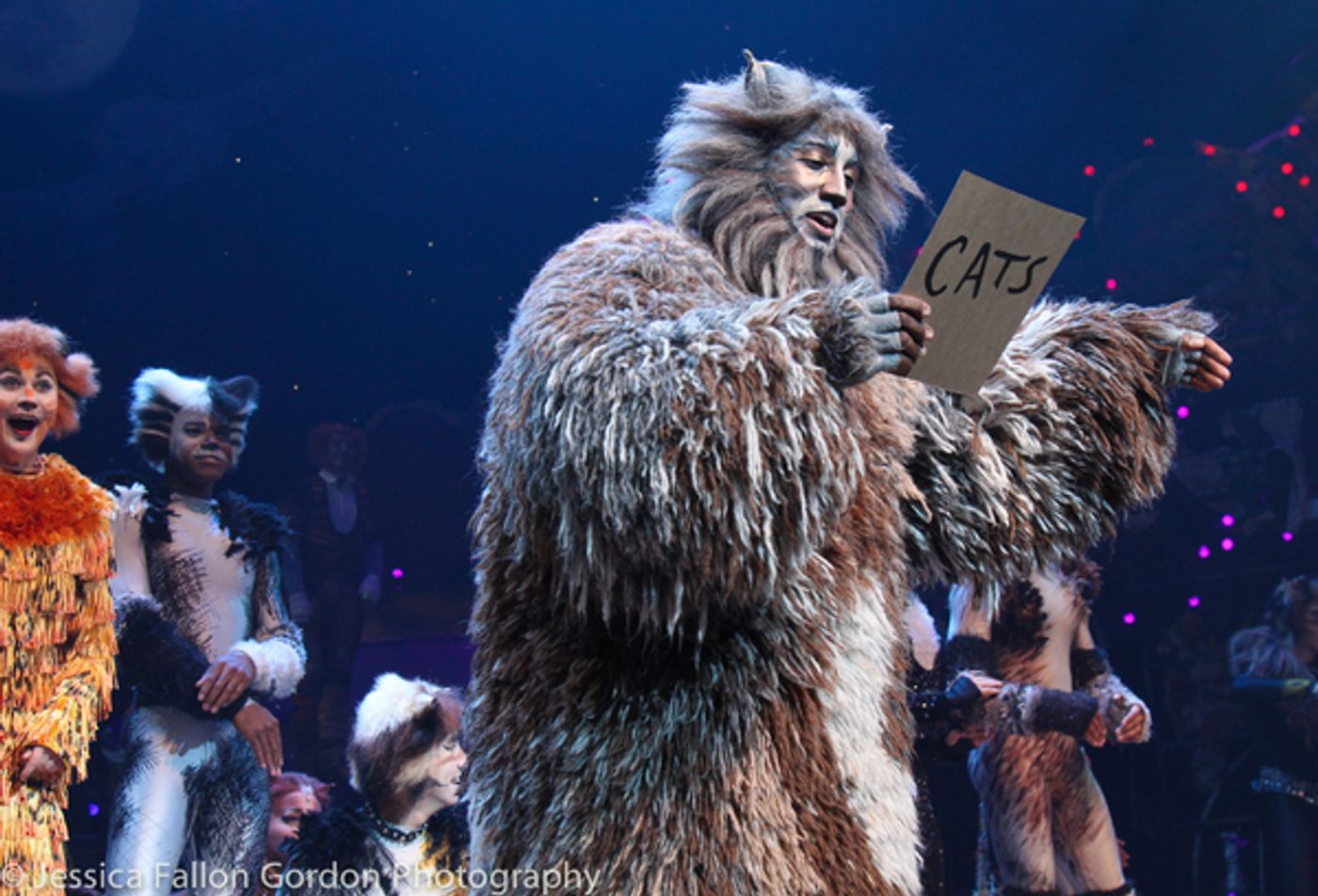 Photo Coverage: Grumpy Cat Pounces Onto Broadway!  Image