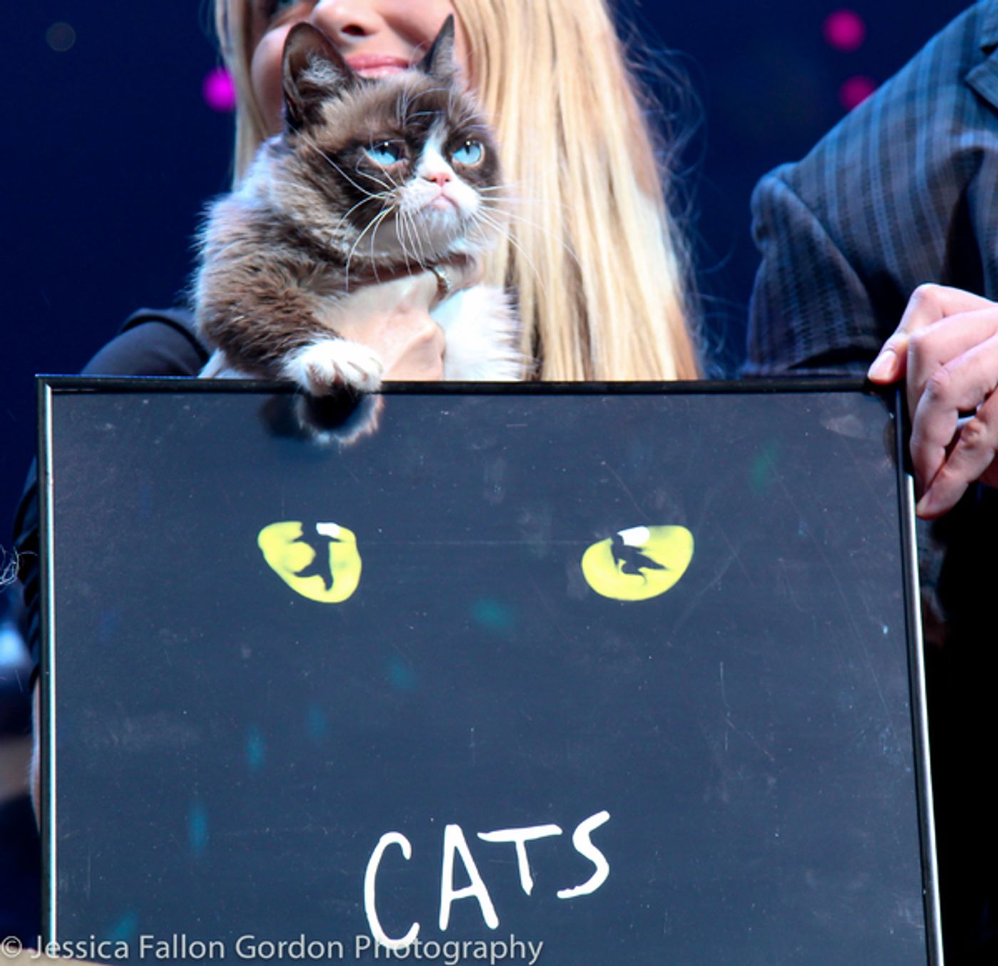 Photo Coverage: Grumpy Cat Pounces Onto Broadway!  Image