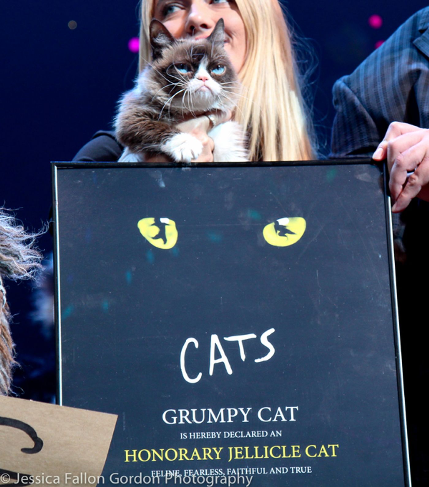 Photo Coverage: Grumpy Cat Pounces Onto Broadway!  Image