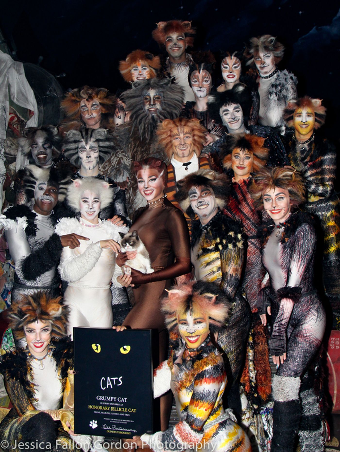 Photo Coverage: Grumpy Cat Pounces Onto Broadway!  Image