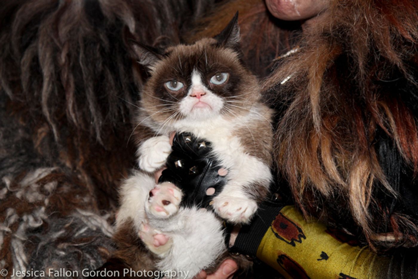 Photo Coverage: Grumpy Cat Pounces Onto Broadway!  Image