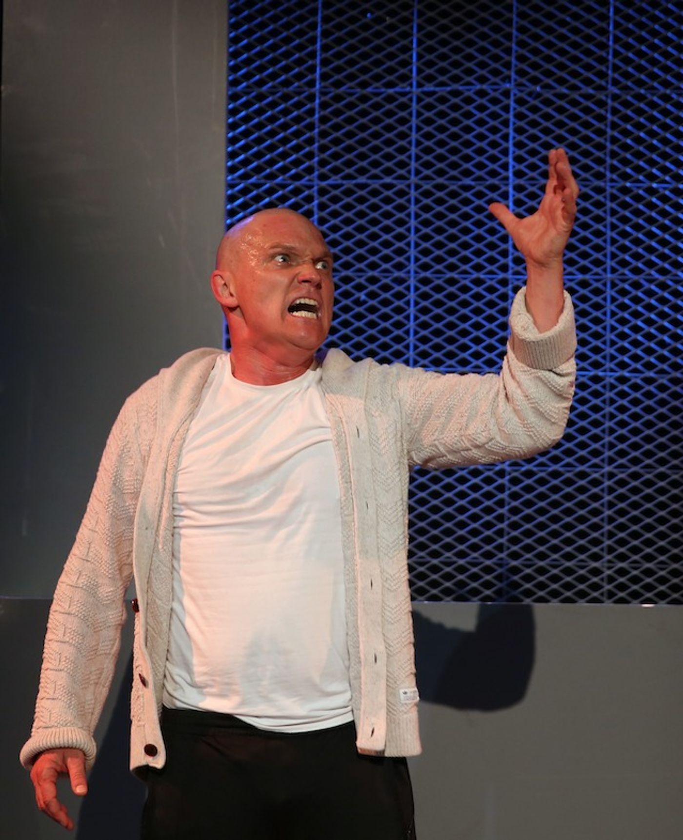 Review: Louis Viljoen's DANGLED with Rob van Vuuren Offers Genius in Action at the Cape Town Fringe  Image