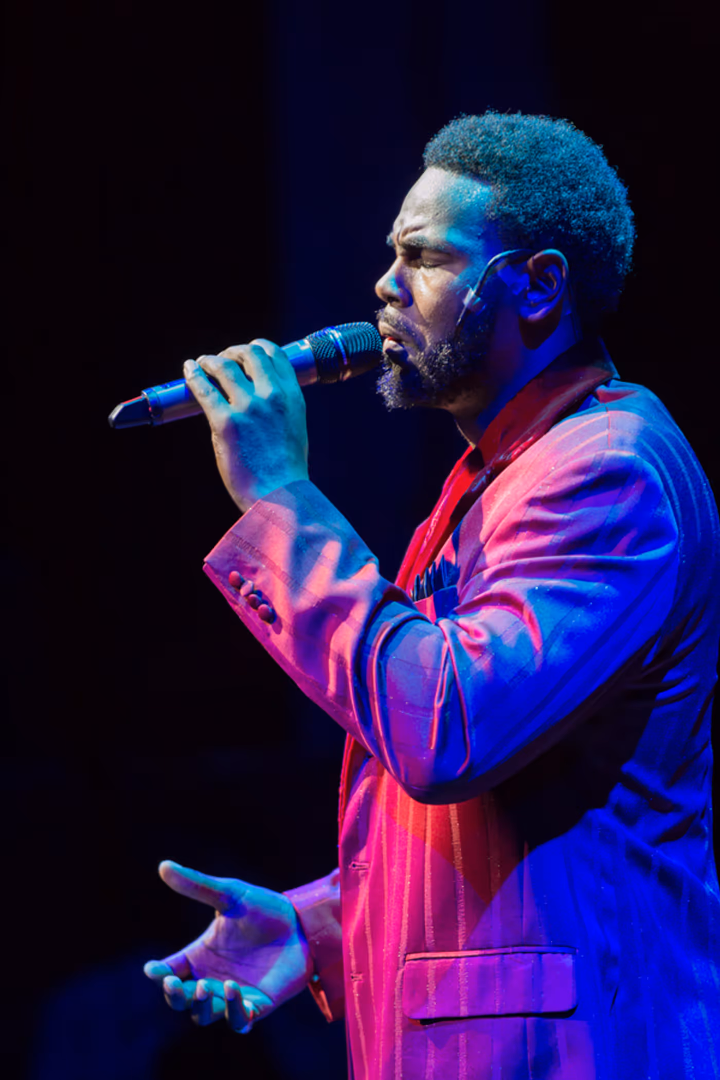 Photo Flash: Black Ensemble Presents TEDDY PENDERGRASS  Image
