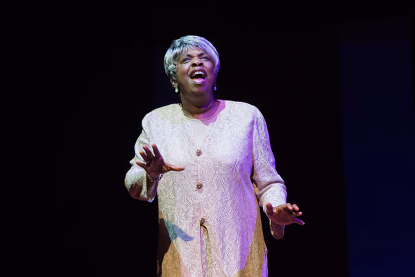 Photo Flash: Black Ensemble Presents TEDDY PENDERGRASS  Image