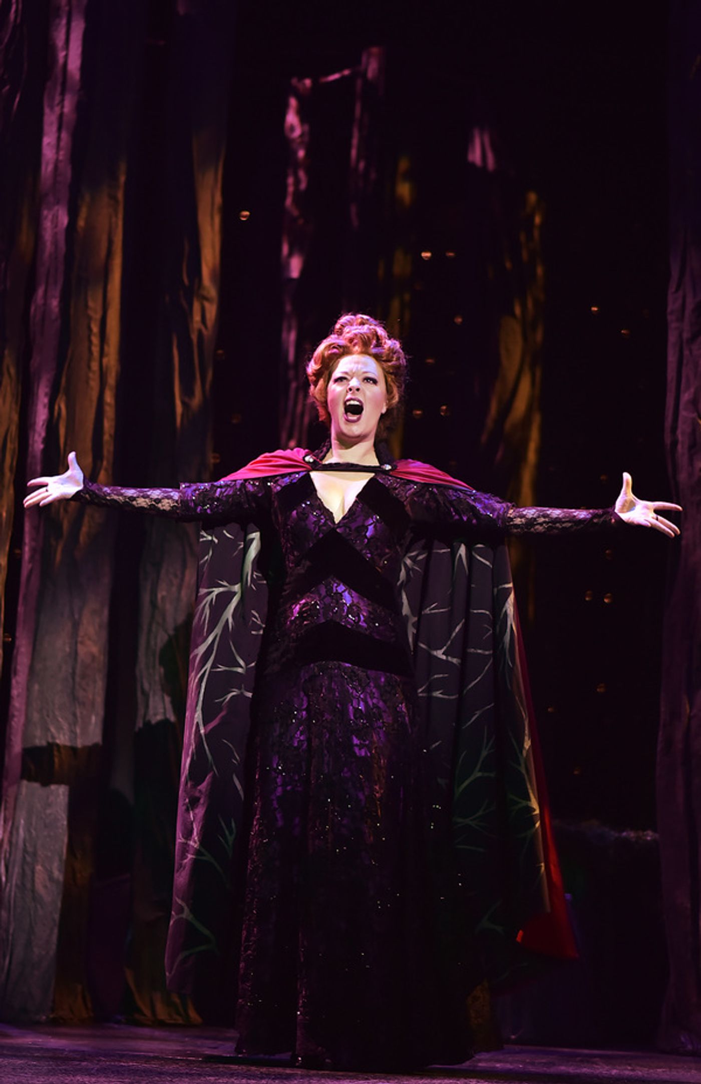 Photo Flash: INTO THE WOODS at Beef and Boards  Image