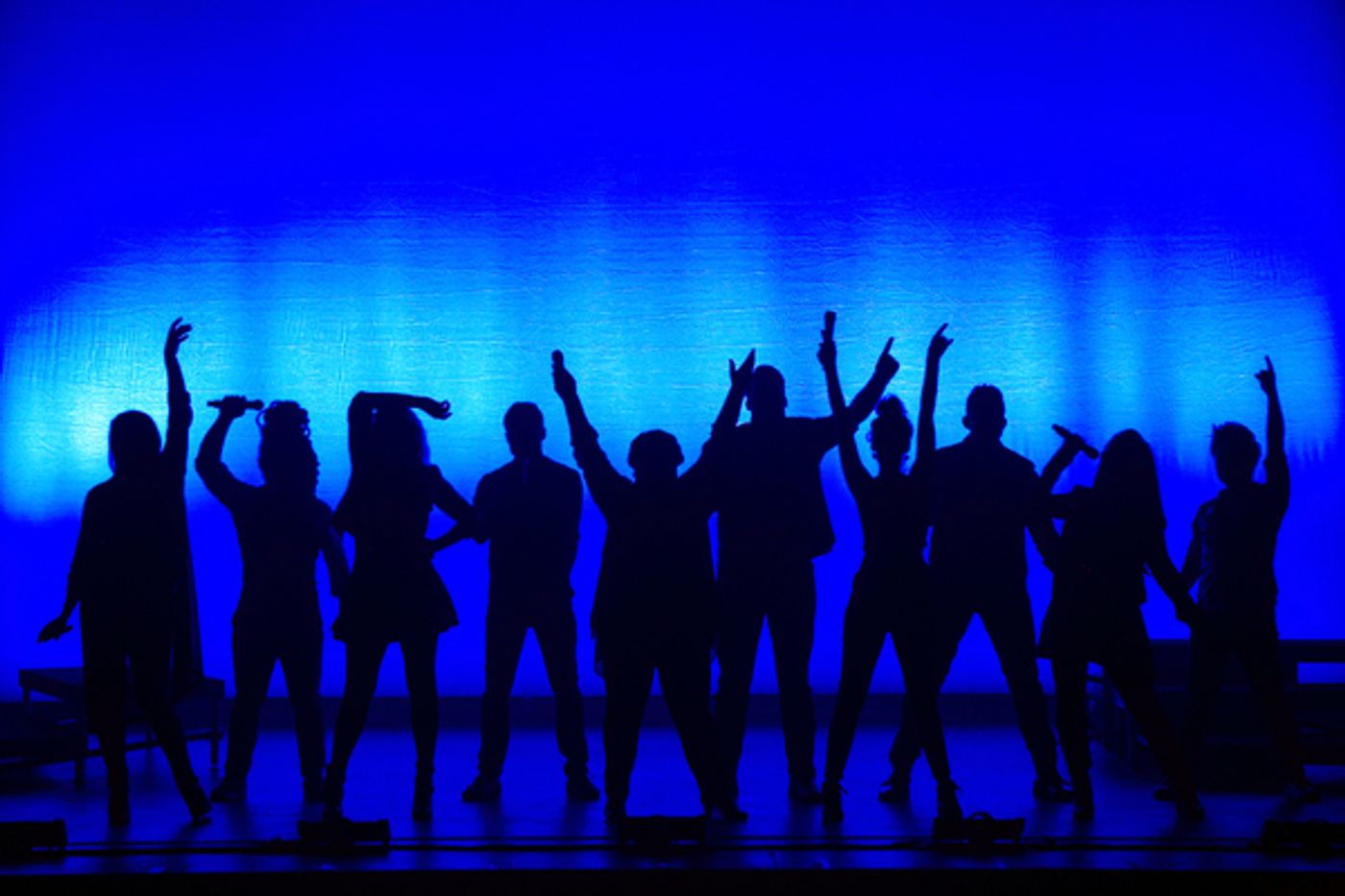 Photo Flash: First Look at VOCALOSITY National Tour  Image