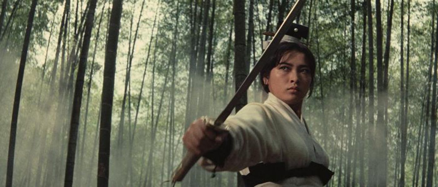 MFAH Film Series WUXIA WONDERS: MARTIAL ARTS ON SCREEN Opens This Weekend Image