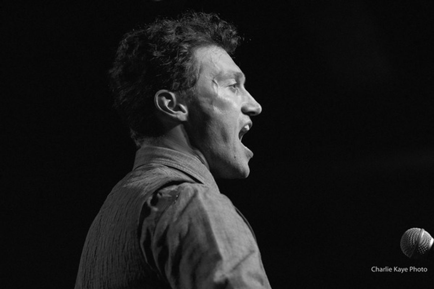 Photo Flash: HOLIDAY INN's Bryce Pinkham Brings BETWEEN THE MOON AND ME to Birdland  Image