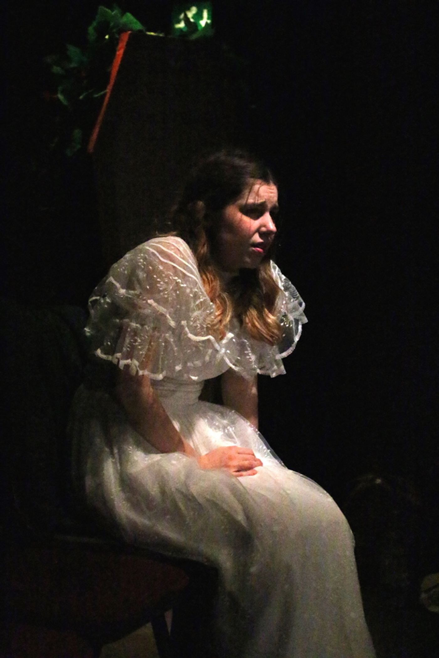 Photo Flash: First Look! THE HOUSE OF USHER at The Hope Theatre  Image