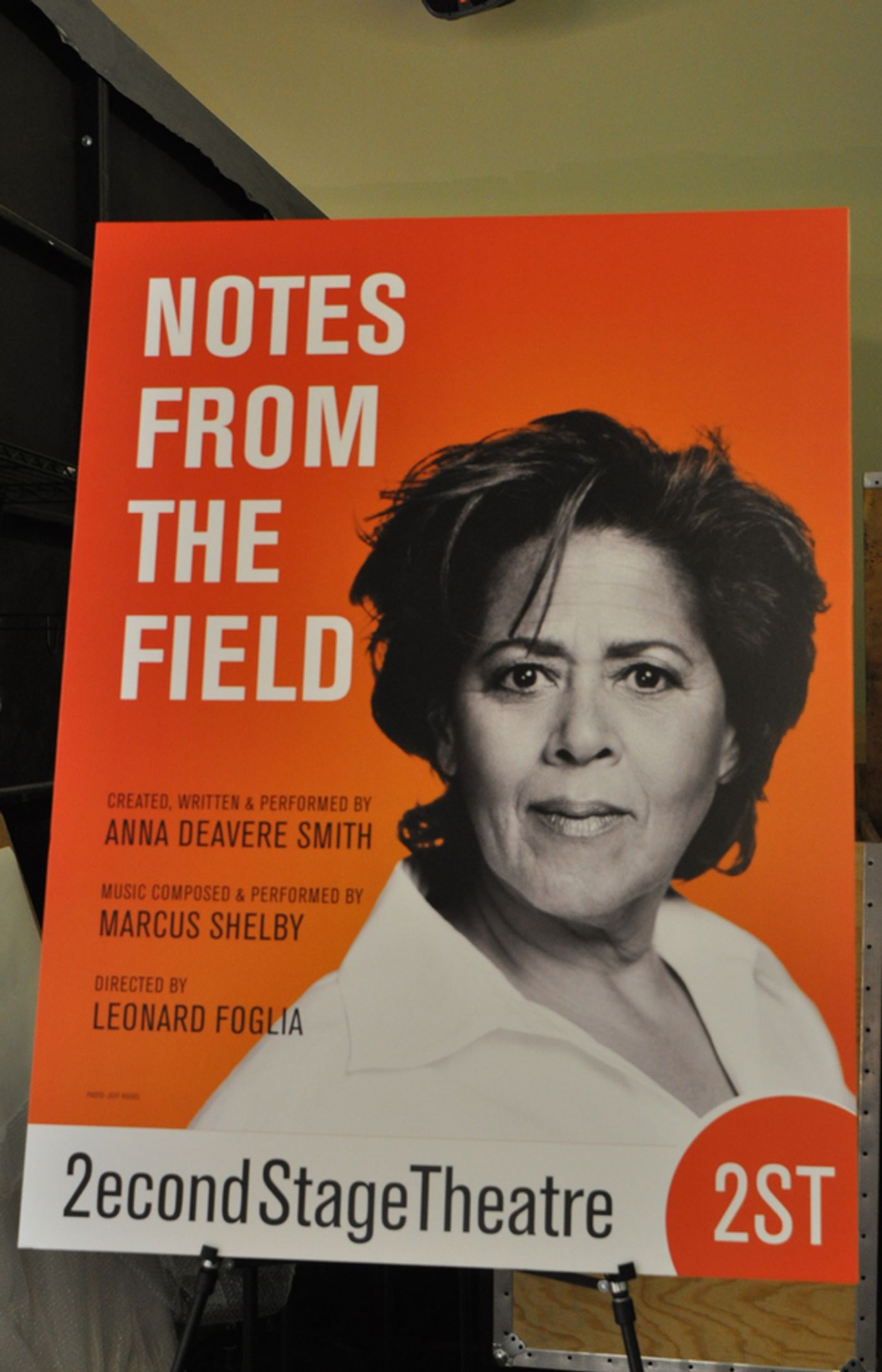 Photo Coverage: NOTES FROM THE FIELD's Anna Deavere Smith Meets The Press Photo Coverage: NOTES FROM THE FIELD's Anna Deavere Smith Meets The Press Image