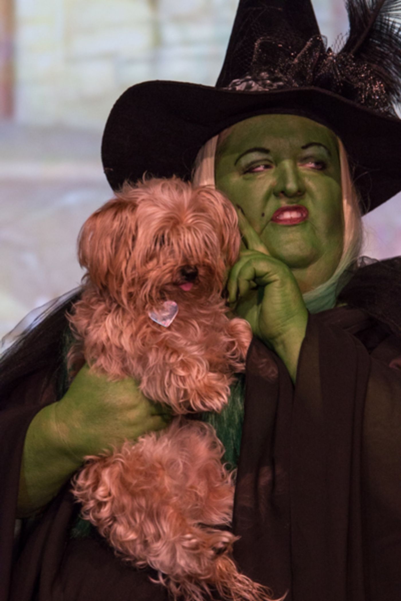 Photo Coverage: First Look at Westgate Theatre Co. and Carriage Place Players' THE WIZARD OF OZ Photo Coverage: First Look at Westgate Theatre Co. and Carriage Place Players' THE WIZARD OF OZ Image