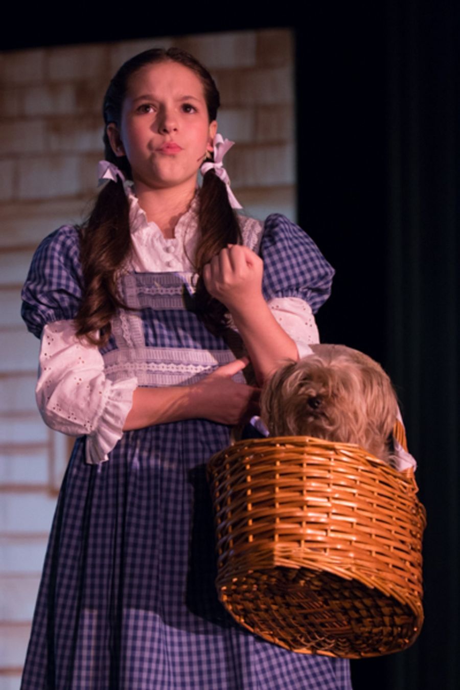 Photo Coverage: First Look at Westgate Theatre Co. and Carriage Place Players' THE WIZARD OF OZ Image