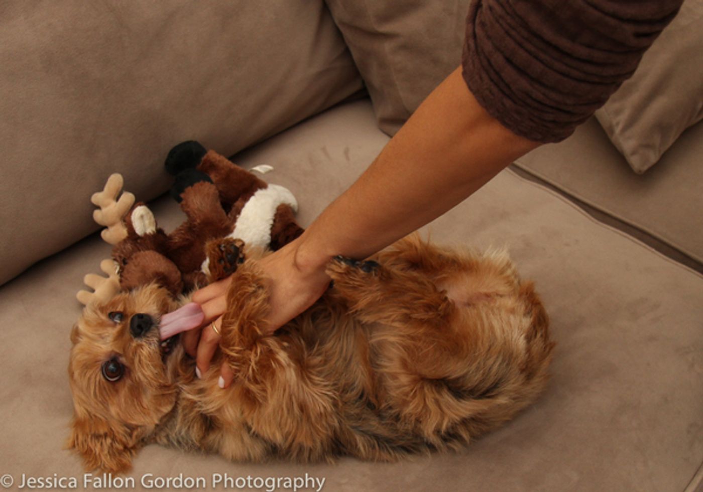 BWW Exclusive: TAILS OF BROADWAY- HAMILTON's Lexi Lawson Works it with Seven!  Image