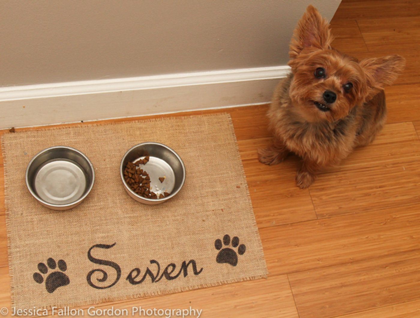 BWW Exclusive: TAILS OF BROADWAY- HAMILTON's Lexi Lawson Works it with Seven!  Image