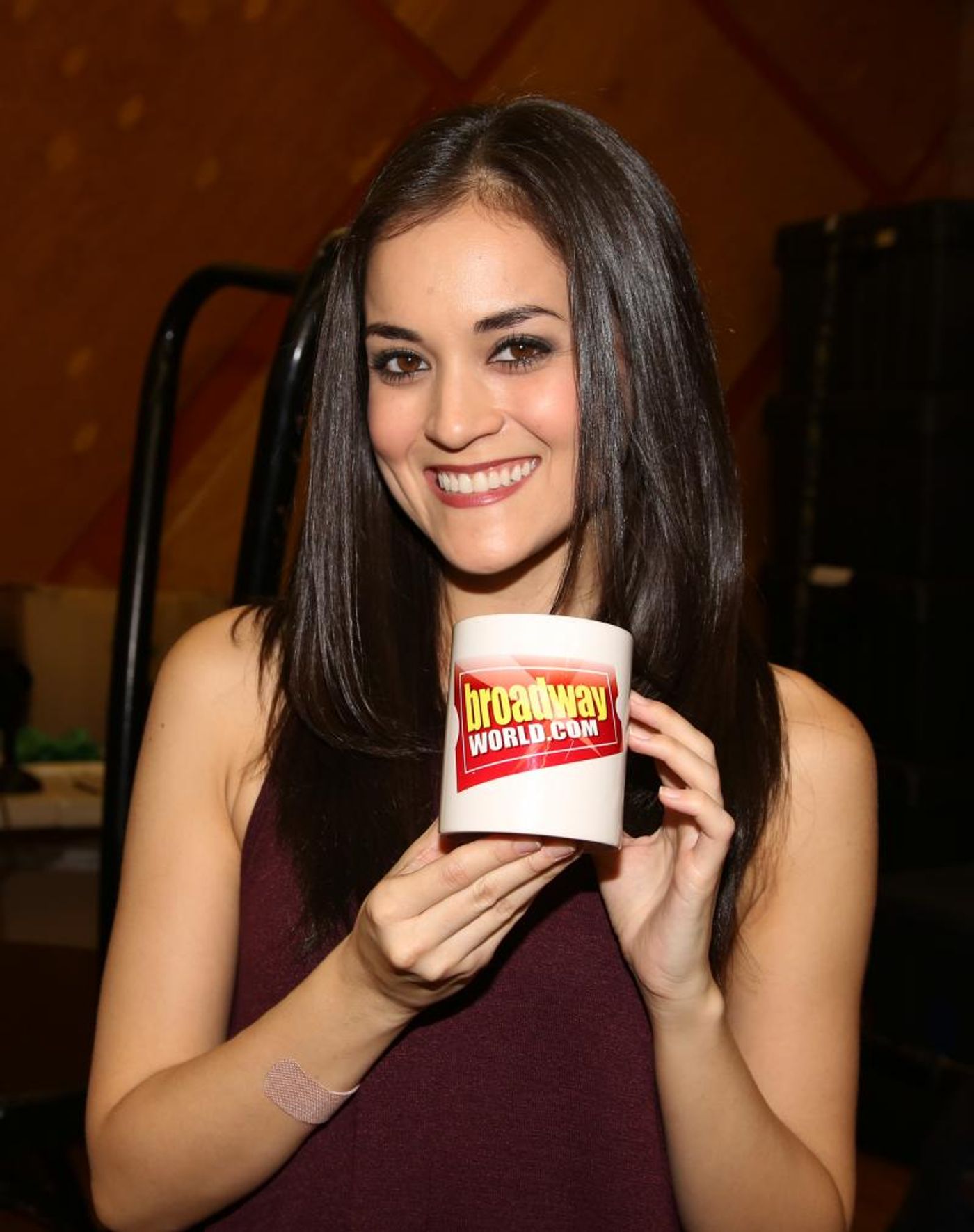 Broadway AM Report, 11/3/2016 - SWEAT at The Public, A BRONX TALE and More!  Image