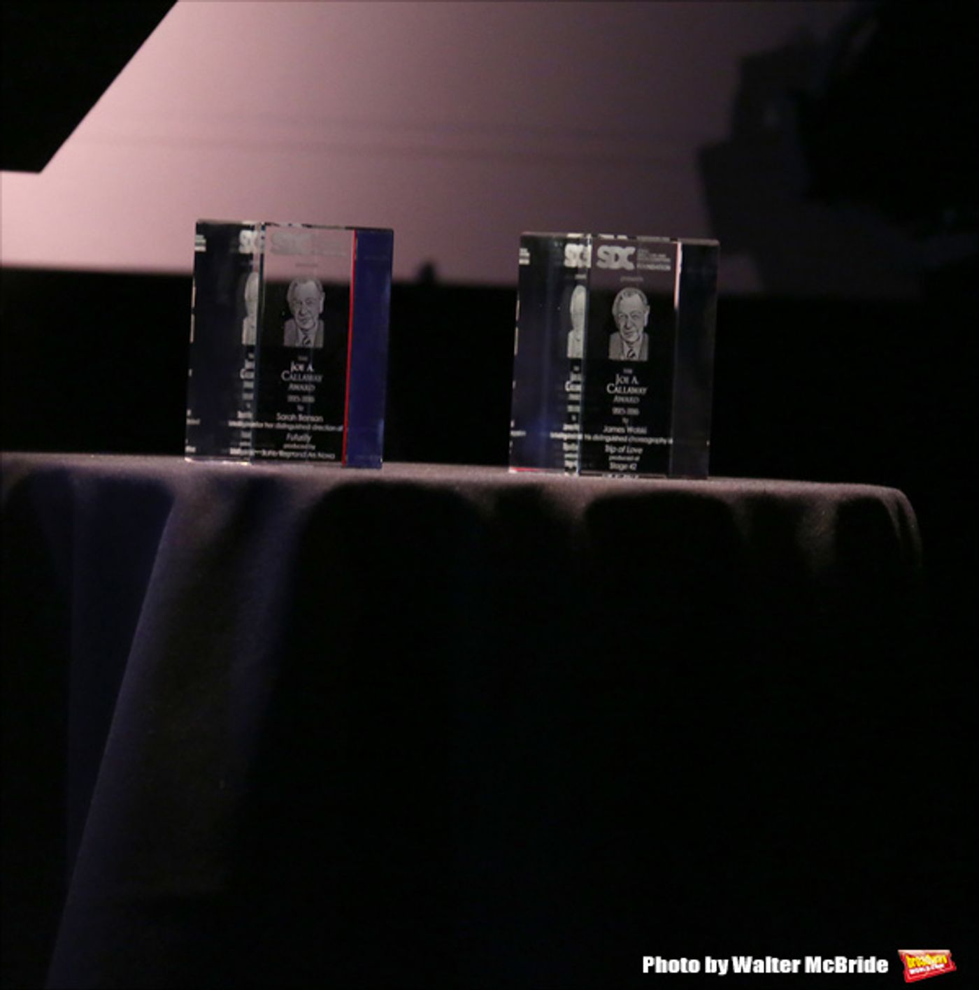 Photo Coverage: Inside SDC Foundation's 27th Annual Joe A. Callaway Awards  Image