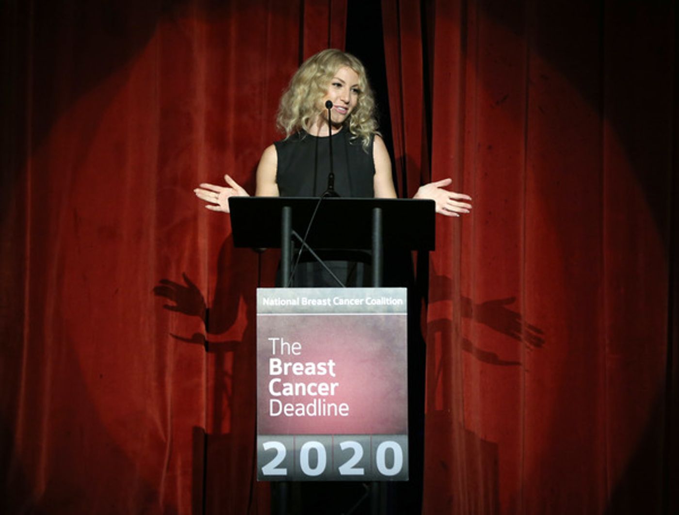 Photo Flash: Ari Graynor Hosts 16th Annual Les Girls Cabaret  Image