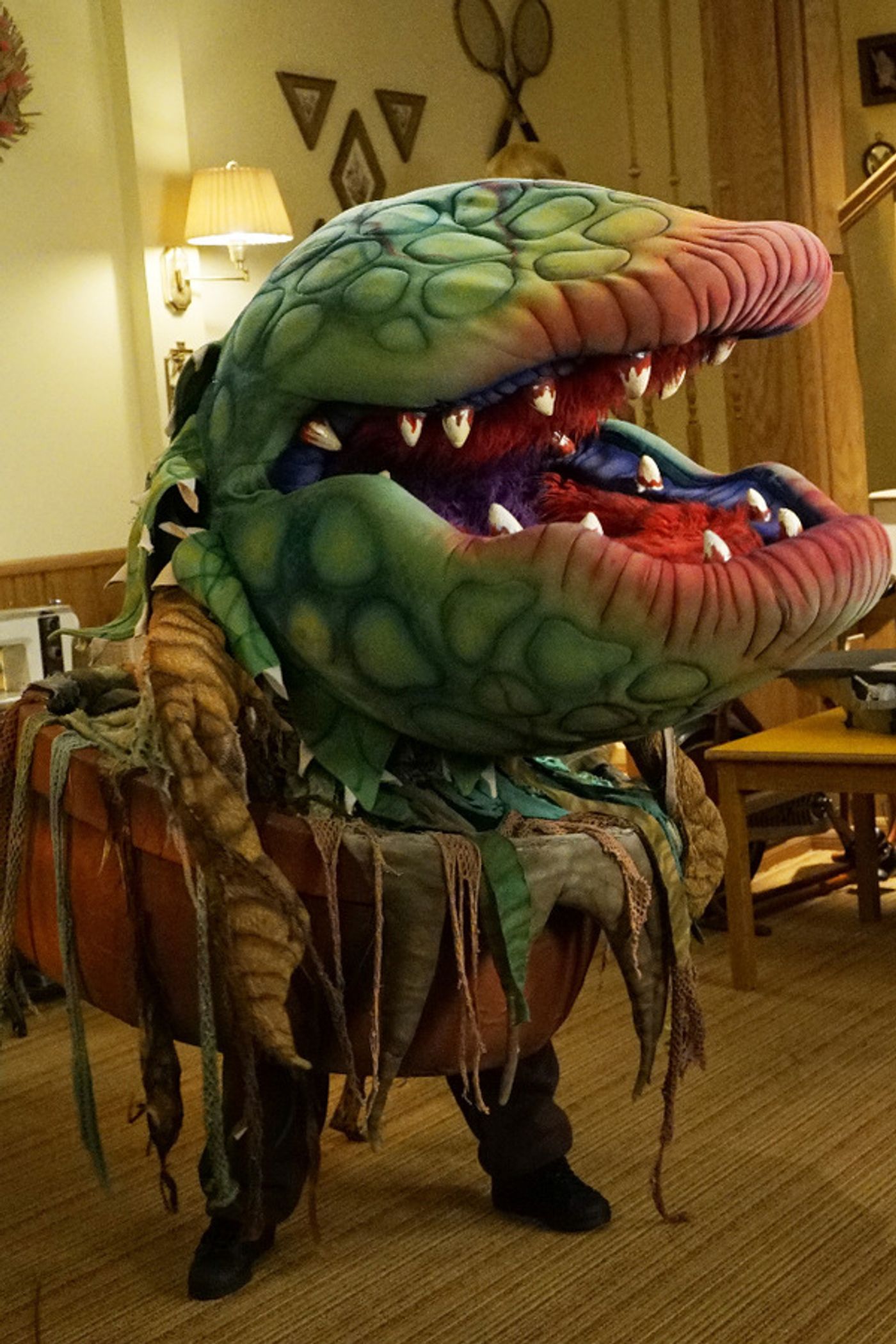 Photo Flash: First Look - ABC's 'The Goldbergs' Pays Tribute to LITTLE SHOP OF HORRORS  Image