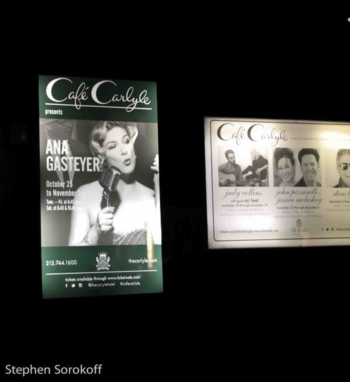 Photo Coverage: Ana Gasteyer Makes Cafe Carlyle Debut  Image