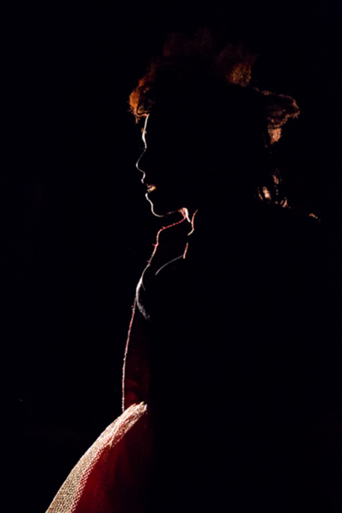 Photo Flash: First look at Imagine Productions' THE ROCKY HORROR SHOW  Image