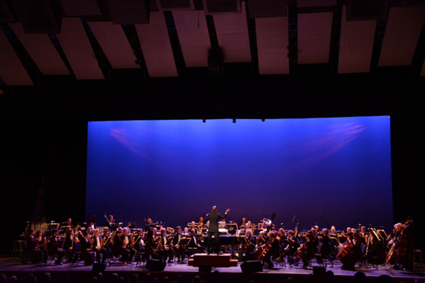 Photo Coverage: Megan Hilty and Brian d'Arcy James at Tilles Center Gala with The New York Pops  Image