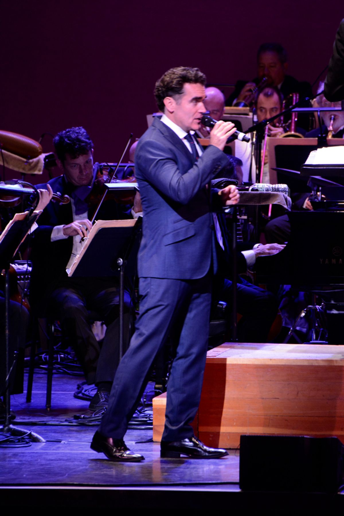 Brian d'Arcy James at 