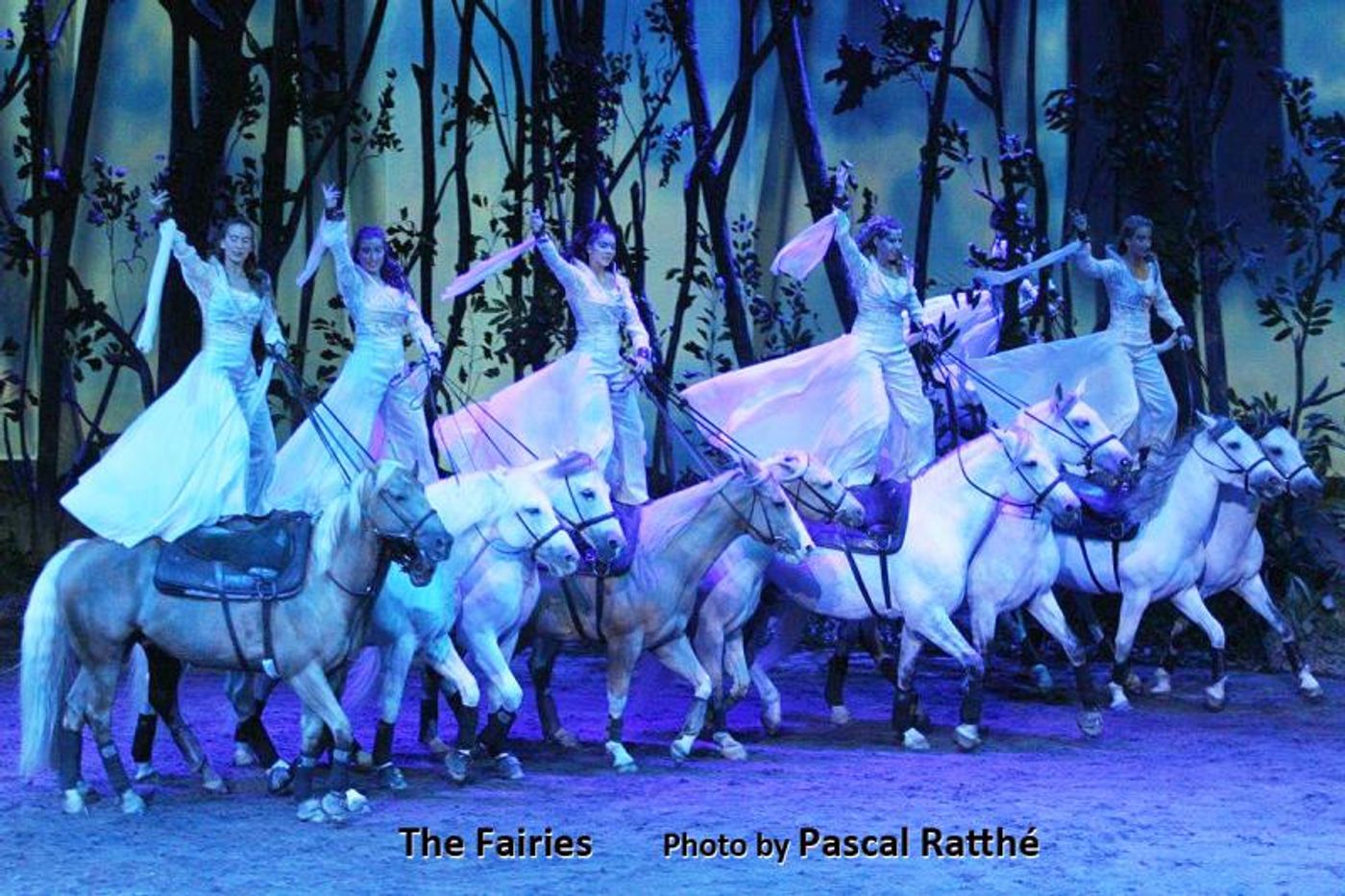 Interview: Cavalia's Normand Latourelle on Captivating Audiences With ODYSSEO  Image
