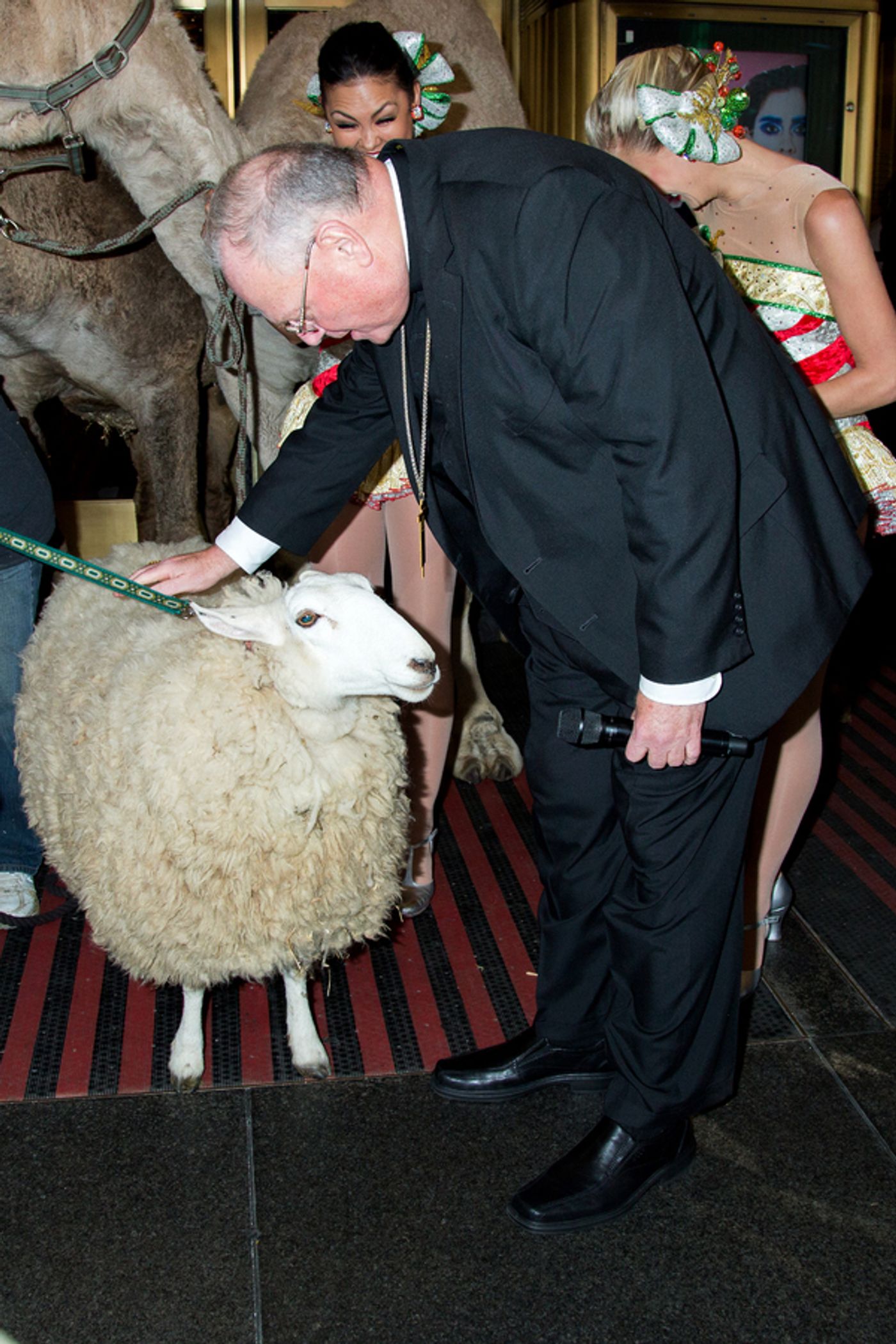 Photo Coverage: The Animals Flock to Radio City Music Hall to Take Their Places for the Living Nativity  Image