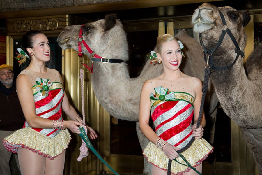 Photo Coverage: The Animals Flock to Radio City Music Hall to Take Their Places for the Living Nativity Image