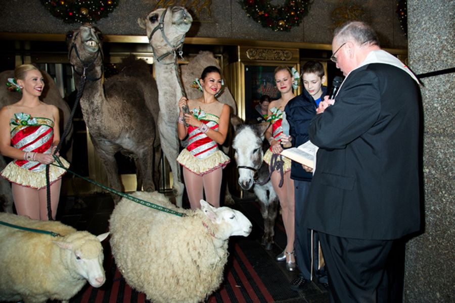 Photo Coverage: The Animals Flock to Radio City Music Hall to Take Their Places for the Living Nativity Image